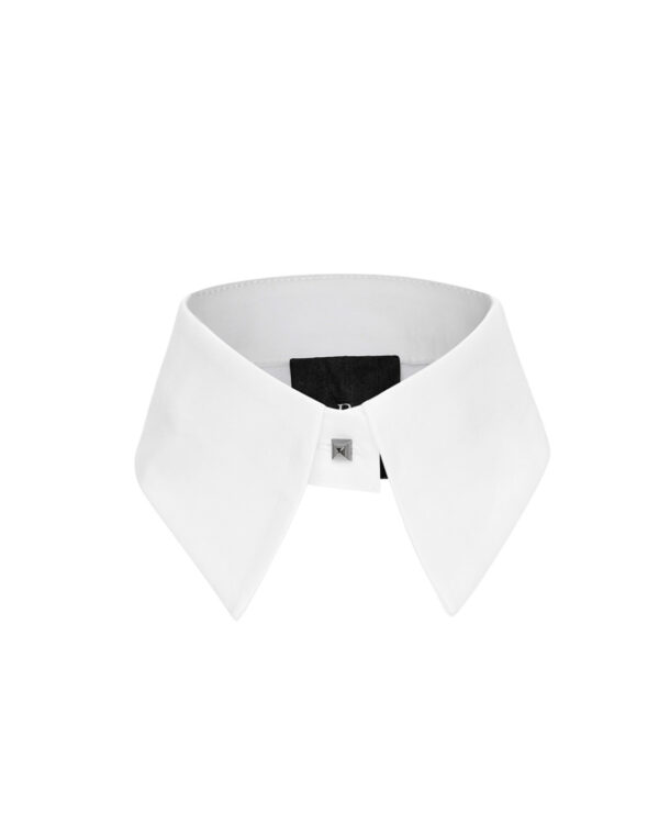 Access Fashion collar simple white